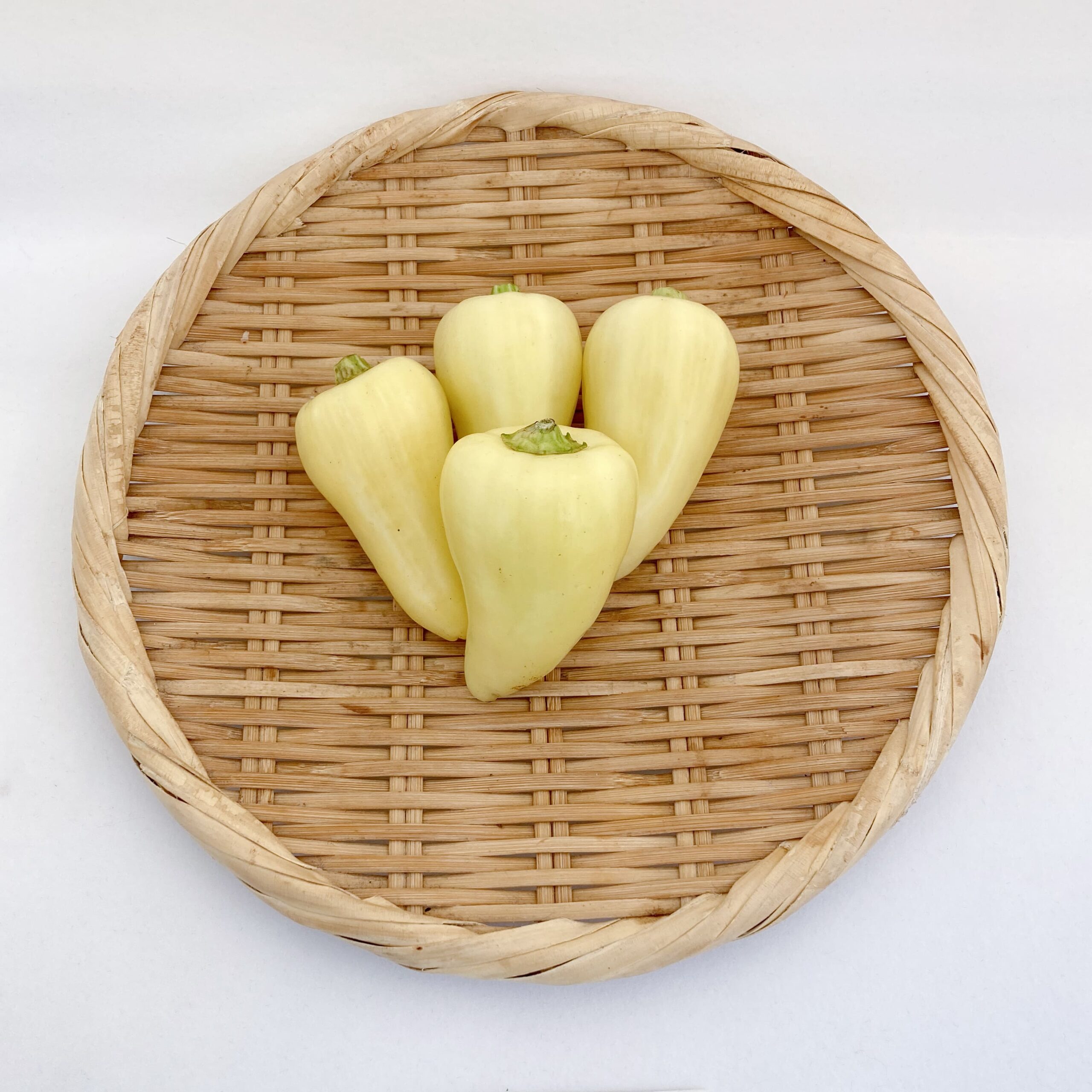サンタ・フェ（GUERO CHILES）白